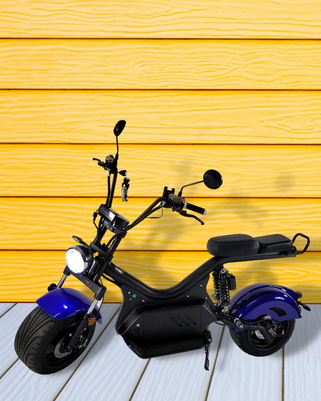 Model - Storm with 3000 W 30 ah Battery - Aldoray Industries