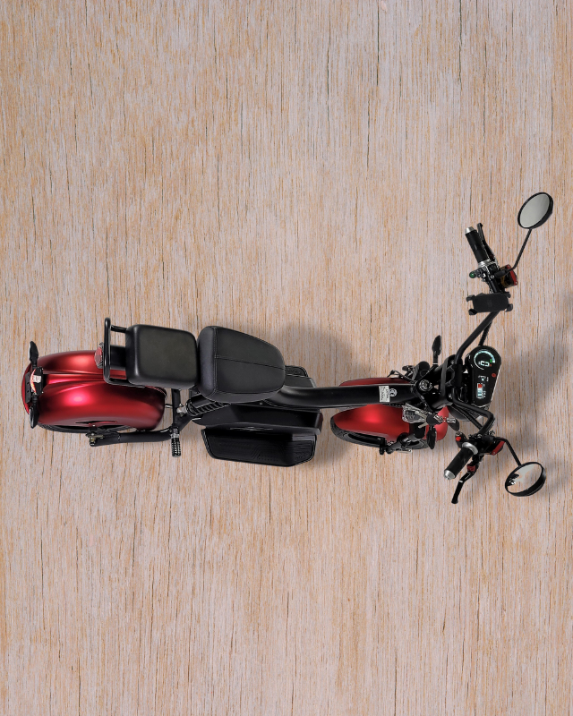 Model - Storm with 3000 W 30 ah Battery - Aldoray Industries